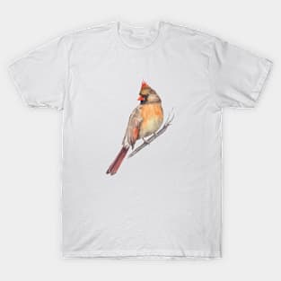 Red cardinal bird. T-Shirt